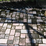 Algae covered pavers