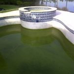 SPA TILE CALCIFIED
