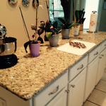 Additional Photos