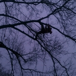 Climb High