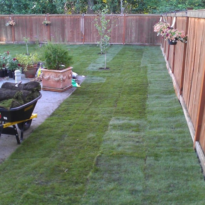 Additional Photos