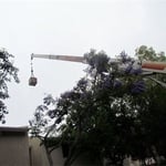 Crane placing unit