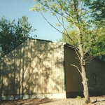 back