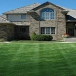 Love that lush green lawn?