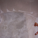 Pet oils and dander are rinsed away.