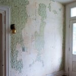 Wallpaper Removal