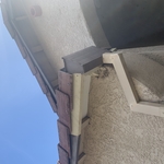 Curdy Repair