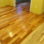 Hickory Hardwood - Holliston - MA