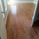 New Construction - Jamaica Plain