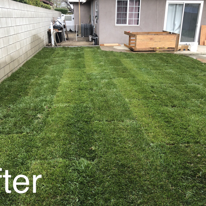 Additional Photos