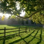 Farm & Animal Fencing