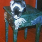 Cat Table