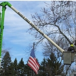 Performance-Driven Tree Removal Crane