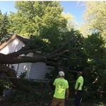 Coming to the Aid of Local Homeowners