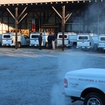 Pest Control Team