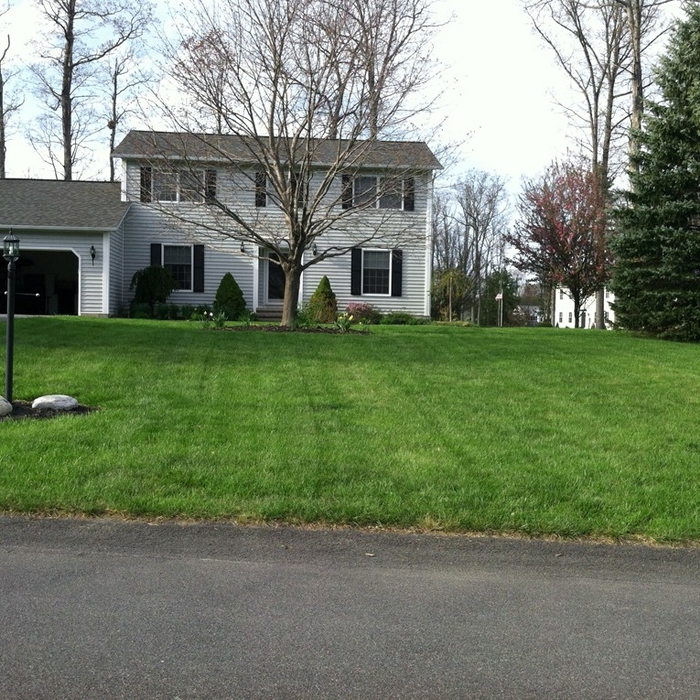 Clifton Park, NY