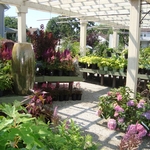 Heights plants