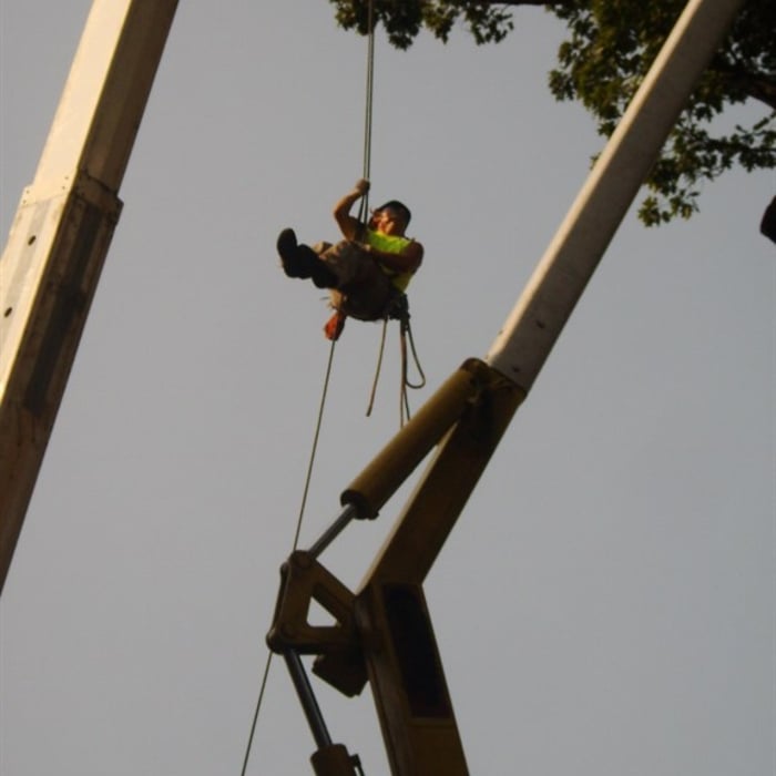 Additional Photos