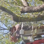 Storm Damage