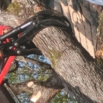 Storm Damage