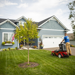 Lawn Aeration