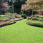 Lawn