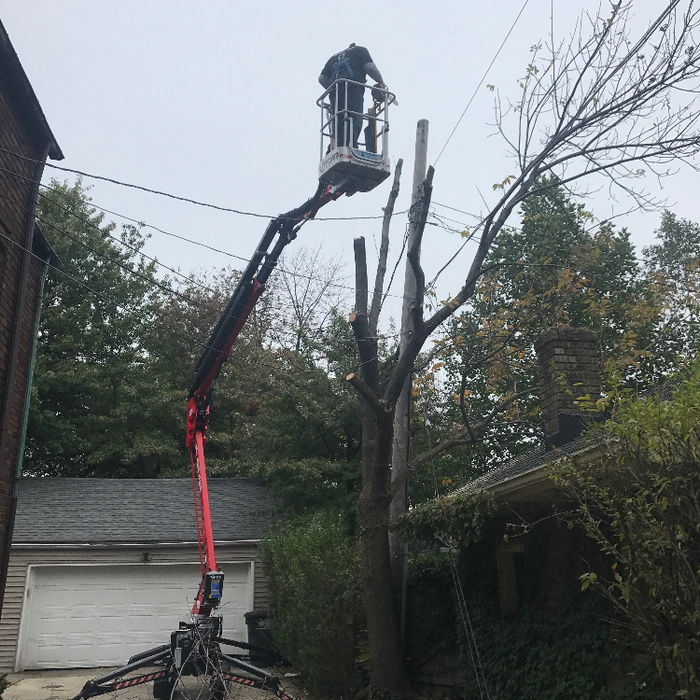 Additional Photos