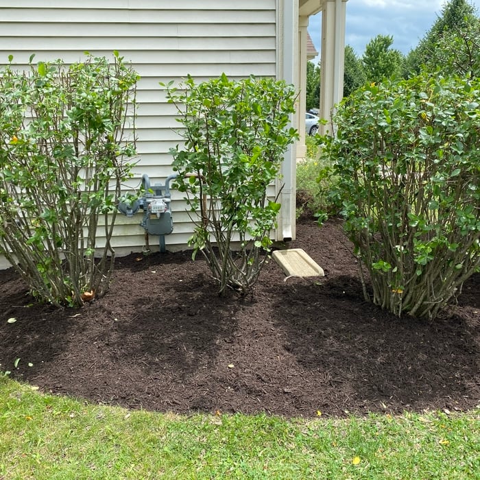 Additional Photos