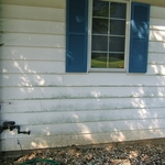 Common mold & mildew problems