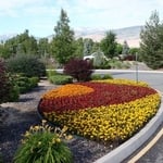 Annual Color Installation