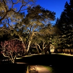 Landscape Lighting