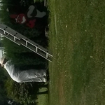 Bee Control