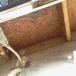 bees and comb removed