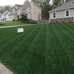 Thick, Green, and Weed-Free!