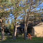 Tree Service Project