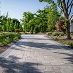 Driveway Transformation