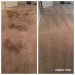 Carpet Cleaning