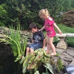 Kids and Ponds