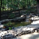 Small Ponds