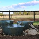 Fountain Bowls