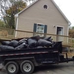 Additional Photos