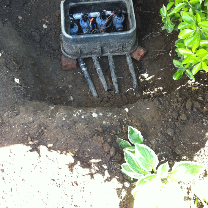 Additional Photos