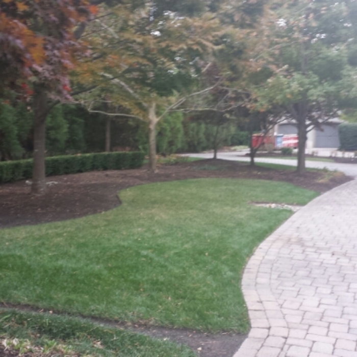 Additional Photos