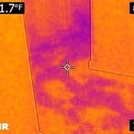 Thermal Imaging shows water.