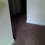 Without Thermal Imaging. Knowing where the water is prevents mold growth.