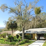 Tree Service Project