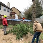 Tree Service Project