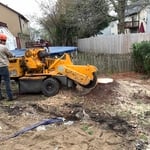 Tree Service Project