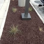 Mulch