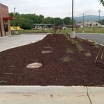 Mulch